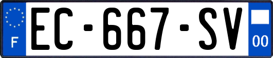 EC-667-SV