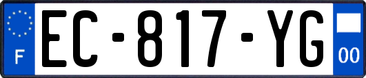 EC-817-YG