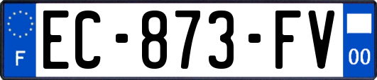 EC-873-FV