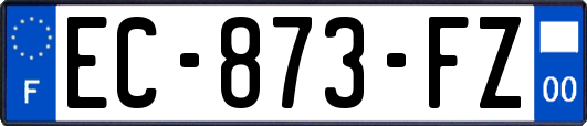 EC-873-FZ