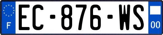 EC-876-WS