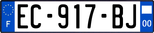 EC-917-BJ