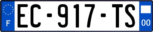 EC-917-TS