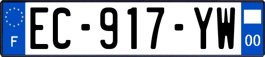 EC-917-YW