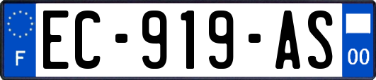 EC-919-AS