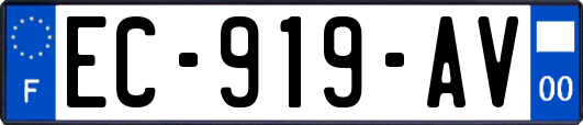 EC-919-AV