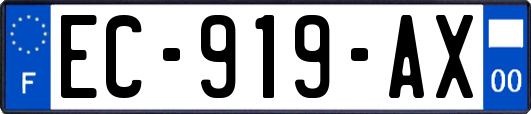 EC-919-AX