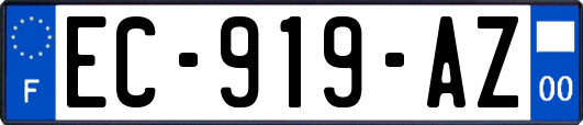 EC-919-AZ