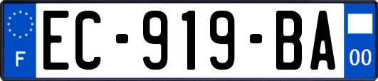 EC-919-BA