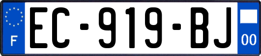 EC-919-BJ