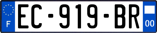 EC-919-BR