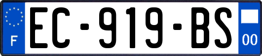 EC-919-BS