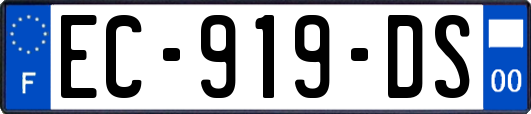 EC-919-DS