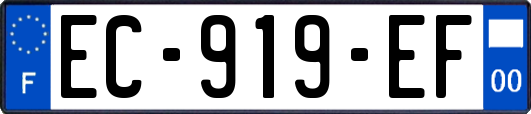 EC-919-EF