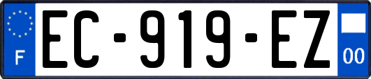 EC-919-EZ