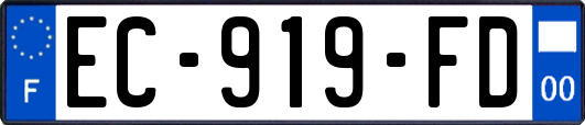 EC-919-FD