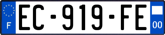 EC-919-FE