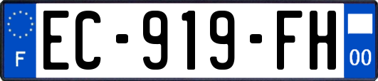EC-919-FH
