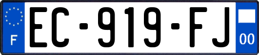 EC-919-FJ