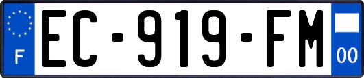 EC-919-FM