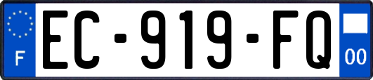 EC-919-FQ