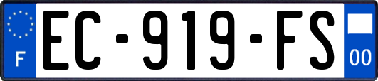 EC-919-FS