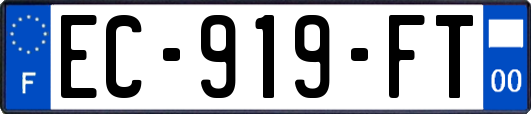 EC-919-FT