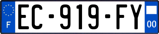 EC-919-FY