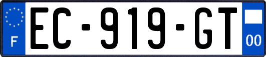 EC-919-GT
