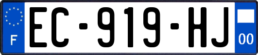 EC-919-HJ