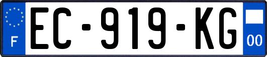 EC-919-KG