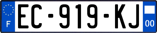 EC-919-KJ