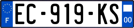 EC-919-KS