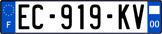 EC-919-KV