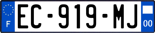EC-919-MJ