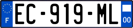 EC-919-ML