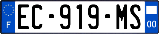 EC-919-MS