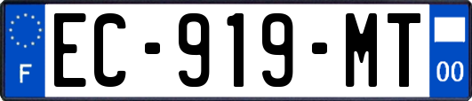 EC-919-MT