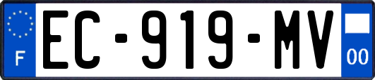 EC-919-MV