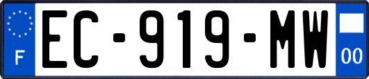 EC-919-MW
