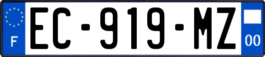 EC-919-MZ