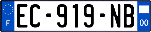 EC-919-NB