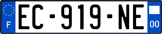 EC-919-NE