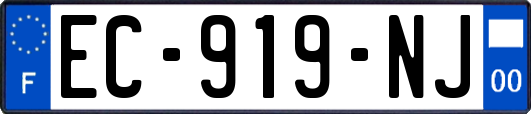 EC-919-NJ