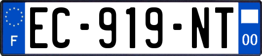 EC-919-NT