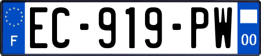 EC-919-PW
