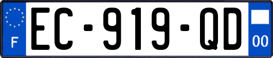 EC-919-QD