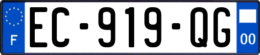 EC-919-QG