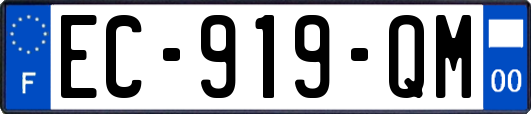EC-919-QM
