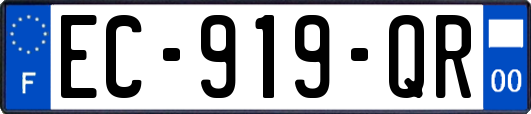 EC-919-QR